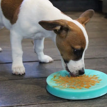Lickable Suction Cup Reward Pet Dish - 6