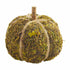 Small Moss Pumpkin