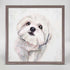 Best Friend - Shih Tzu Mini Framed Canvas