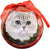 Christmas Cat Shatterproof Ball Ornament