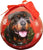 Christmas Dog Shatterproof Ball Ornament