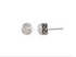 Rhodium Plated Earrings