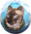 Christmas Cat Shatterproof Ball Ornament