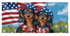 Patriotic Dachshund Duo Switch Mat