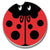Ladybug Car Coaster