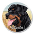Rottweiler Car Coaster
