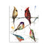 Bird Gift Puzzle Set